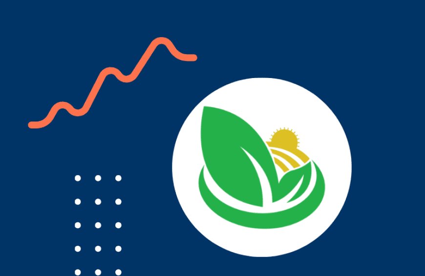 ISFAP Bursary 2026: Undergraduates & Postgraduates Applications