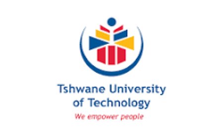 Check Admission Status For TUT Late Applications 2026