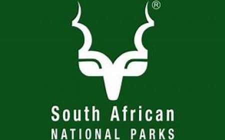 Driver – South African National Parks (SANParks)