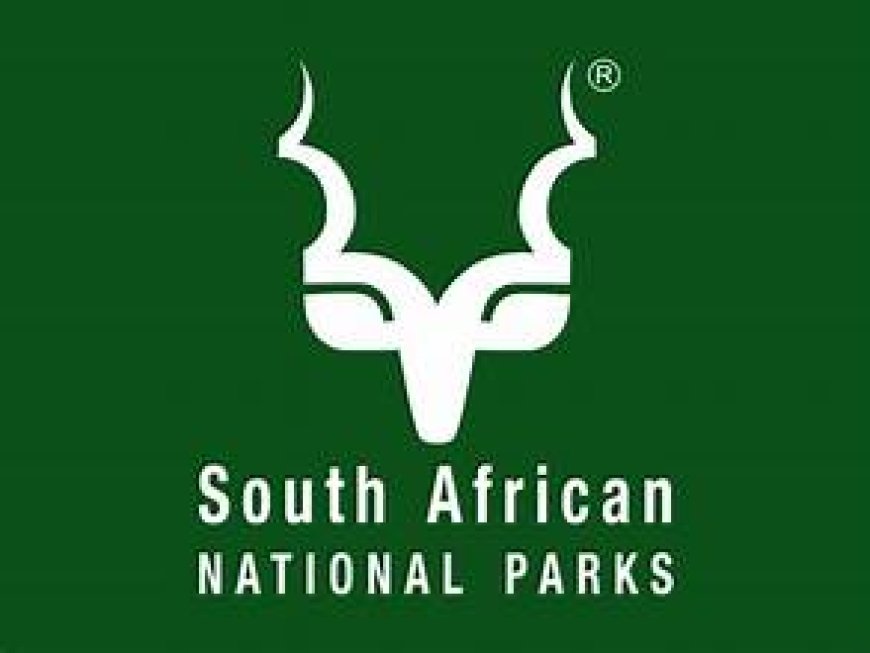 Driver – South African National Parks (SANParks)