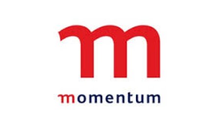 Short-Term Insurance Learnership with Momentum