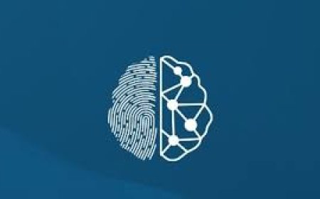 Graduate Internship Programme (Fixed-Term)