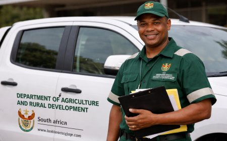 Messenger (x2 Posts)