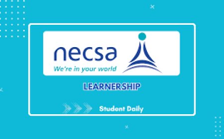 9 - 12 Month Learnership Programme at NECSA
