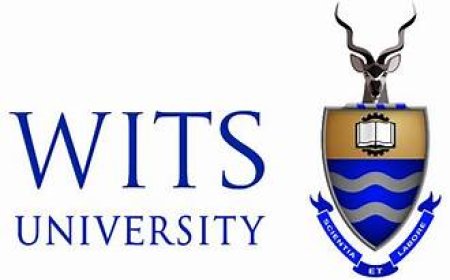 Admission Process For Undergraduates 2027 at Wits