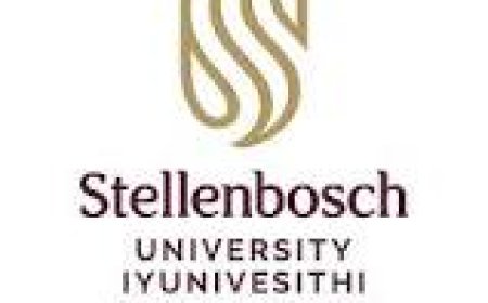 Admissions At Stellenbosch University 2027