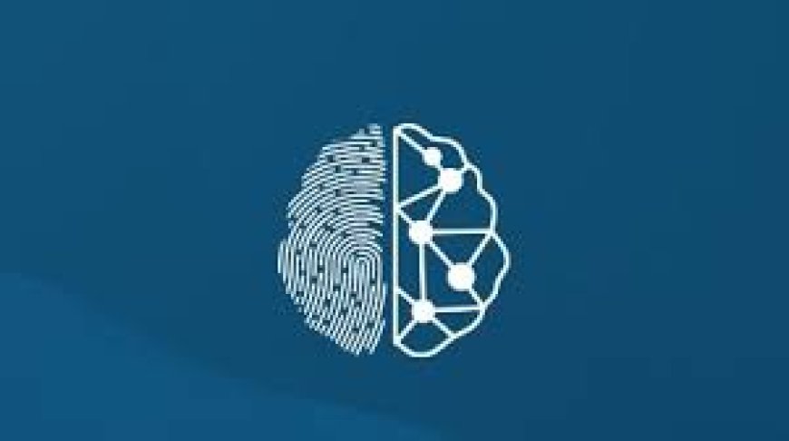 Graduate Internship Programme (Fixed-Term)