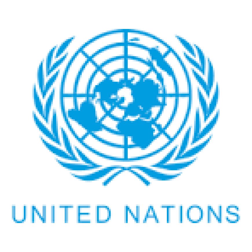 Local Internship Opportunity: Pretoria, South Africa.