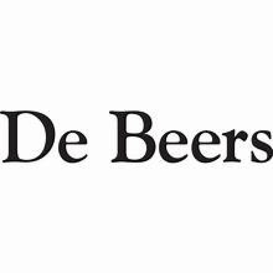 De Beers Electrician Learnership Programme