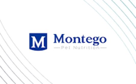 Casual General Worker (Ad Hoc Basis)