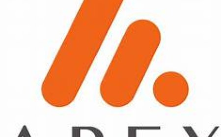 Administrator  - Apex