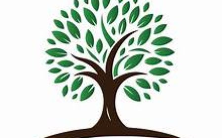 General Worker - Treetop Talent