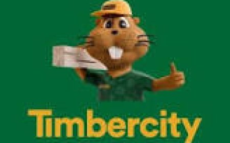 Learnership Opportunity – TimberCity Northriding