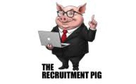Warehouse Picker and Driver – Recruitment pig