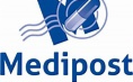 General Maintenance Worker (x2 Casual Positions)