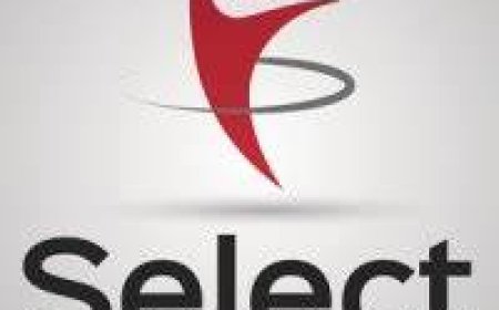 Chauffeur / Professional Driver (PDP Required)