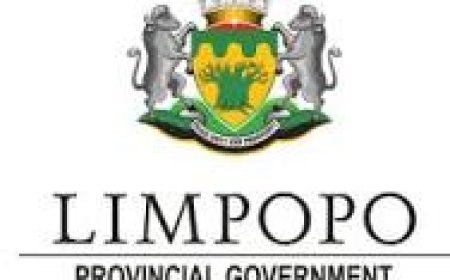 Driver/Messenger (X26 Posts) - Limpopo Provincial
