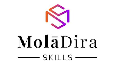 Data Capturer / Administrator - Moladira Skills