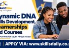 Dynamic DNA Skills Development, Learnerships and Courses: Opportunities for South African Youth