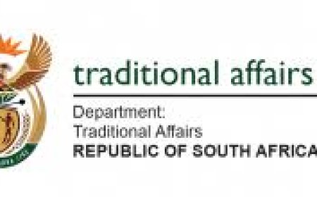 Data Capturer (X1 Post) - Department Of Traditional Affairs
