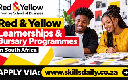 Red & Yellow Creative School of Business Learnerships and Bursary Programmes in South Africa
