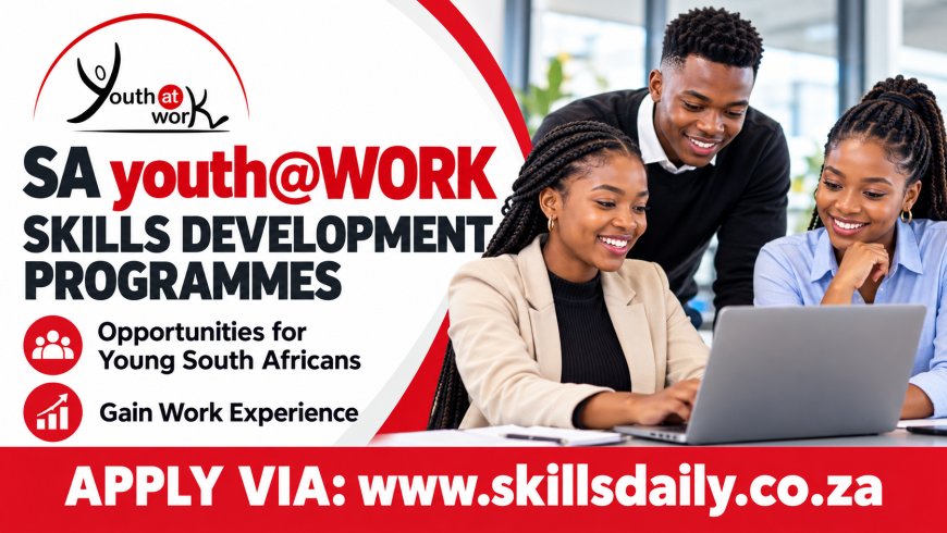 SA youth@WORK Skills Development Programmes: Opportunities for Young South Africans to Gain Work Experience